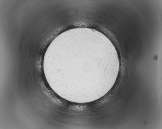 X0000114410065200911271536