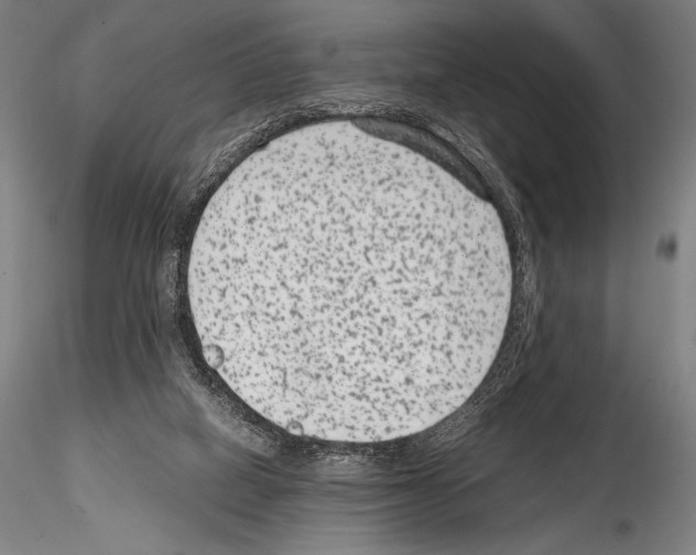 X0000114410066200911271536