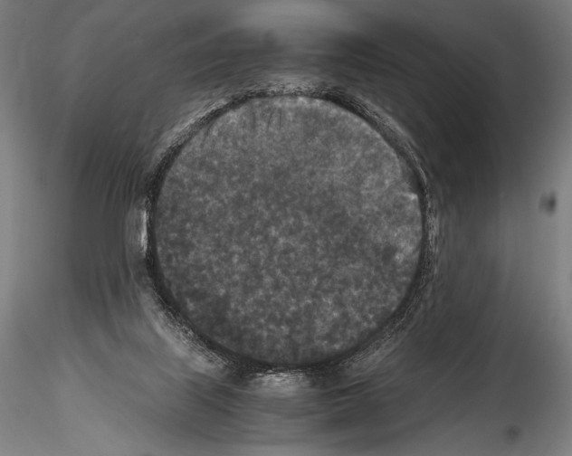 X0000114410067200911271536