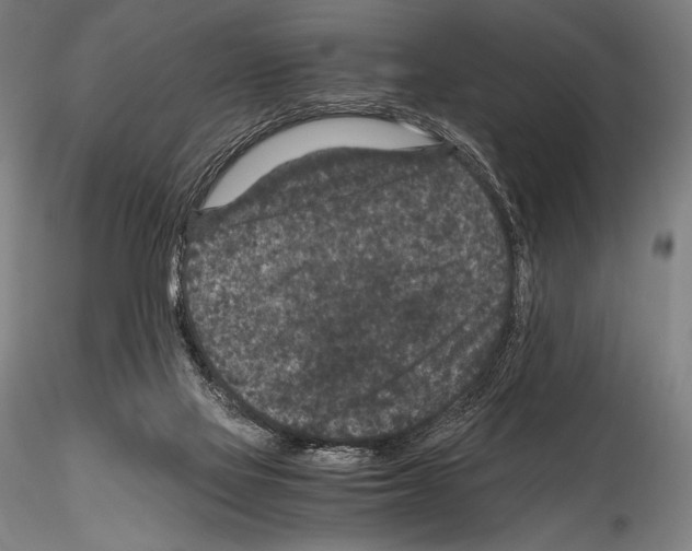 X0000114410069200911271536