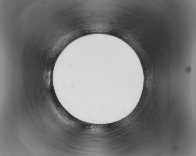 X0000114410070200911271536