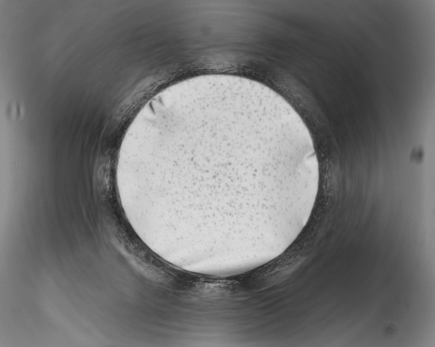 X0000114410072200911271536