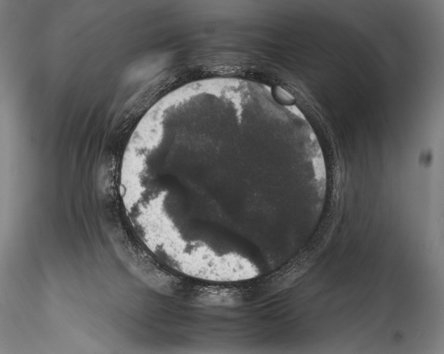 X0000114410073200911271536