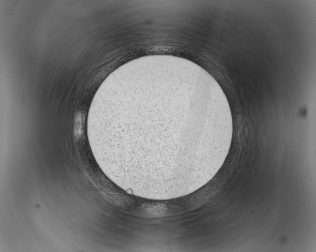 X0000114410075200911271536