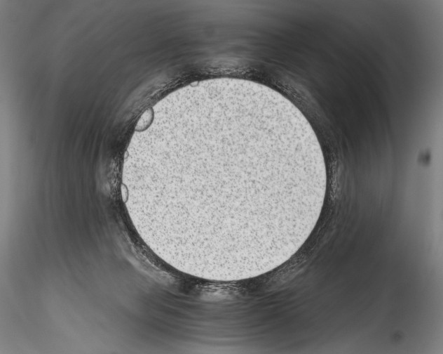 X0000114410077200911271536