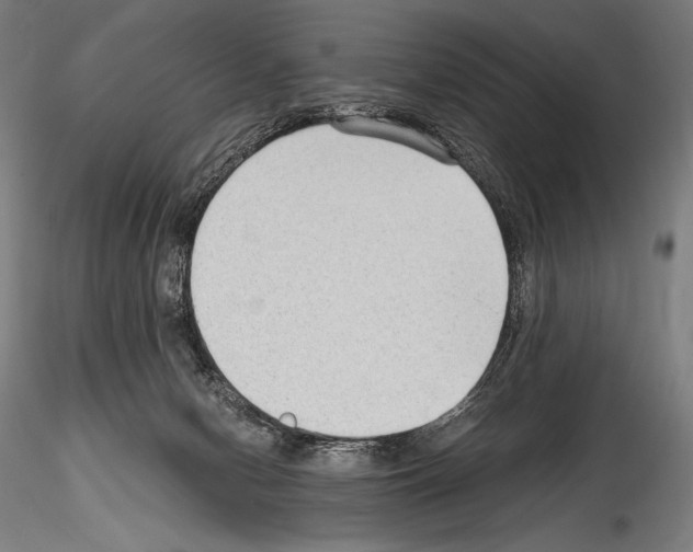 X0000114410078200911271536