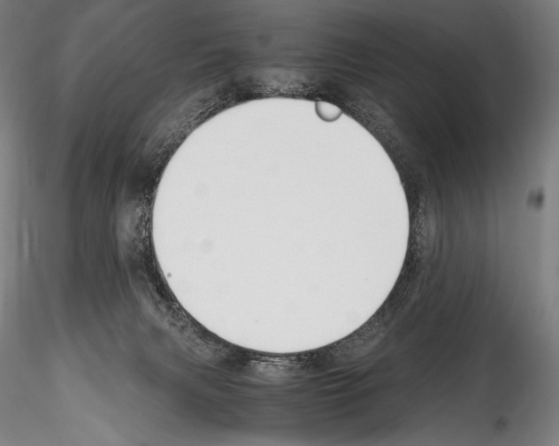 X0000114410079200911271536