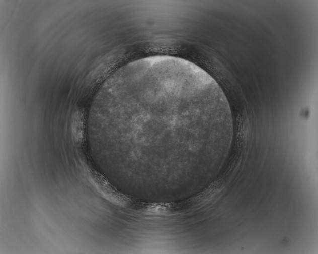 X0000114410080200911271536