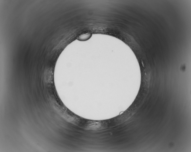 X0000114410083200911271536