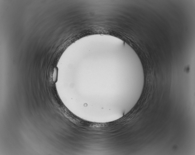 X0000114410084200911271536