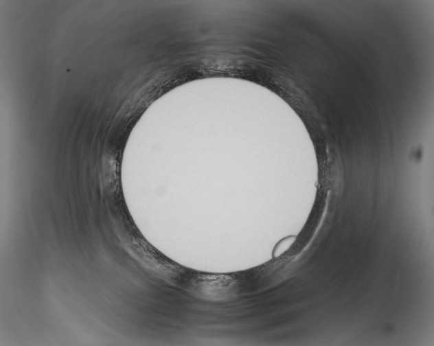 X0000114410087200911271536