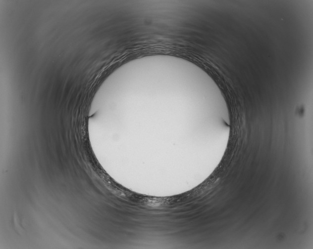 X0000114410088200911271536