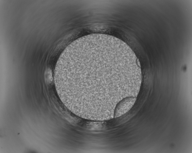 X0000114410089200911271536