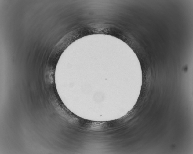 X0000114410090200911271536