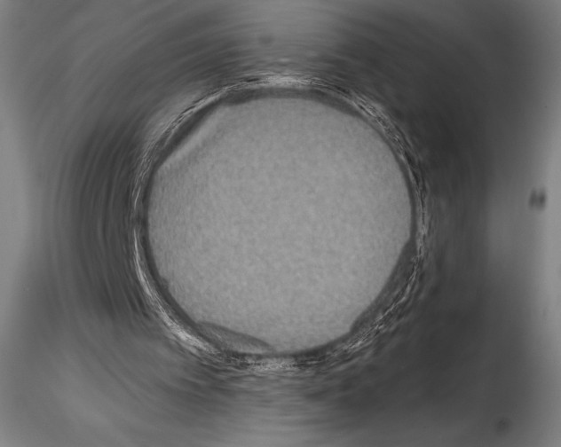 X0000114410097200911271536