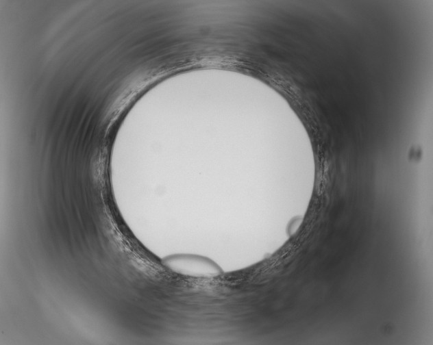 X0000114410098200911271536