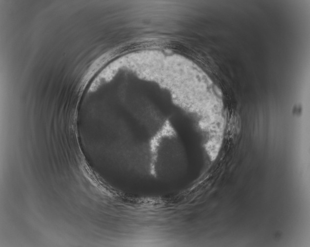 X0000114410099200911271536