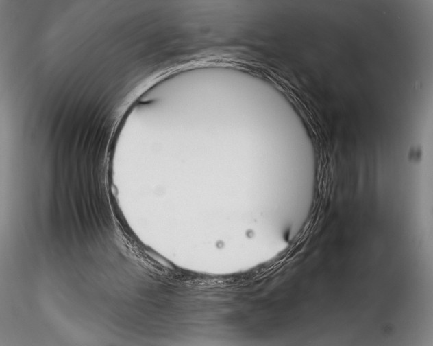 X0000114410100200911271536