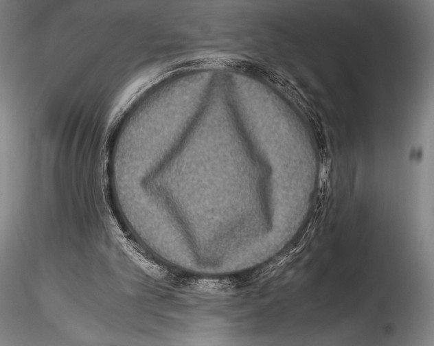 X0000114410101200911271536