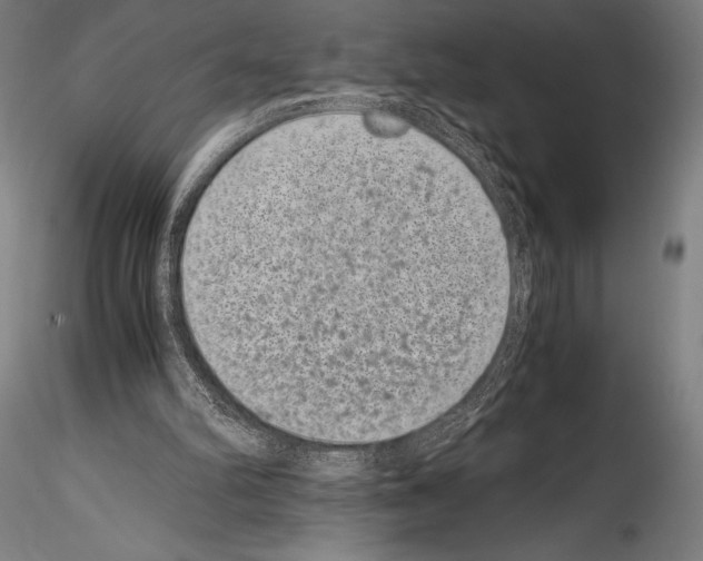 X0000114410102200911271536