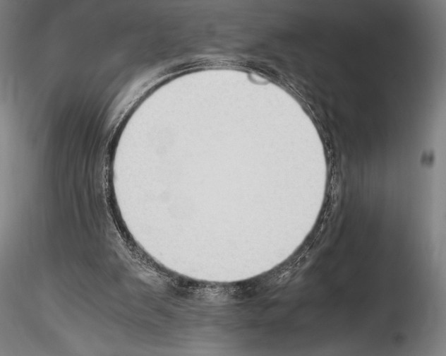 X0000114410103200911271536