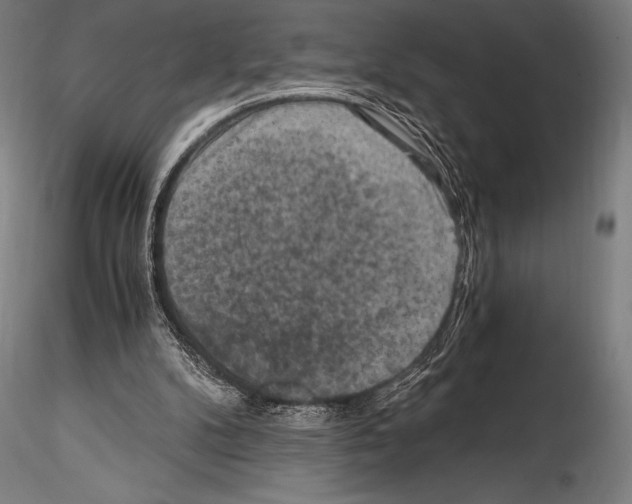 X0000114410104200911271536