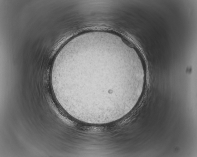 X0000114410105200911271536