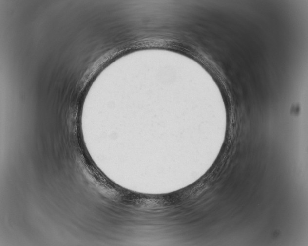 X0000114410107200911271536