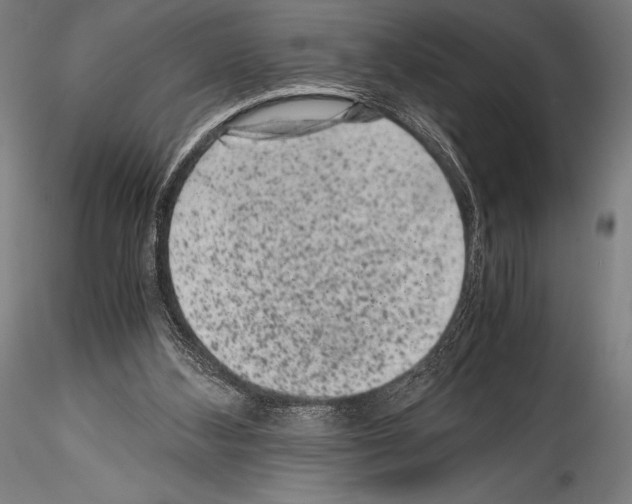 X0000114410108200911271536