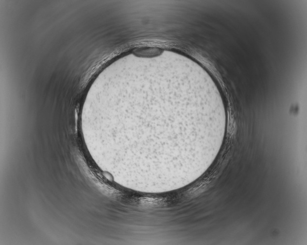 X0000114410109200911271536