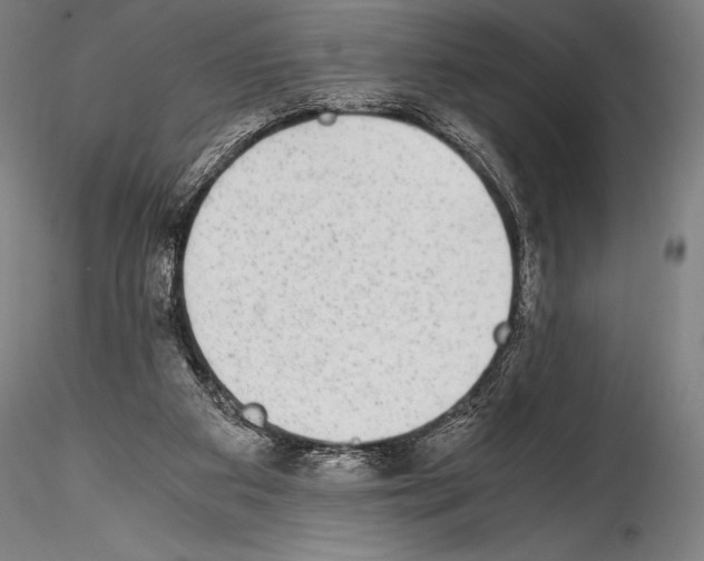 X0000114410113200911271536