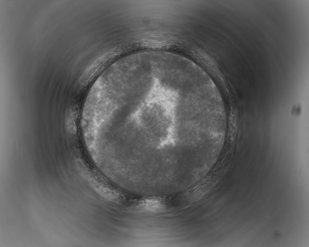 X0000114410114200911271536