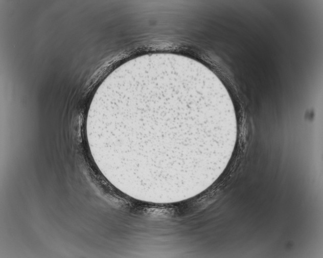 X0000114410115200911271535