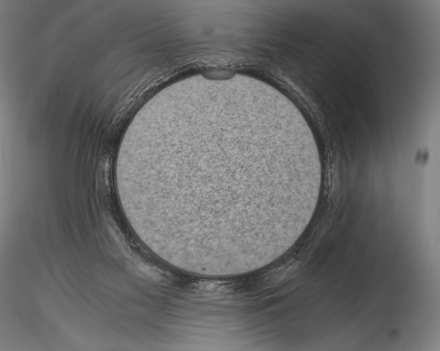 X0000114410117200911271535