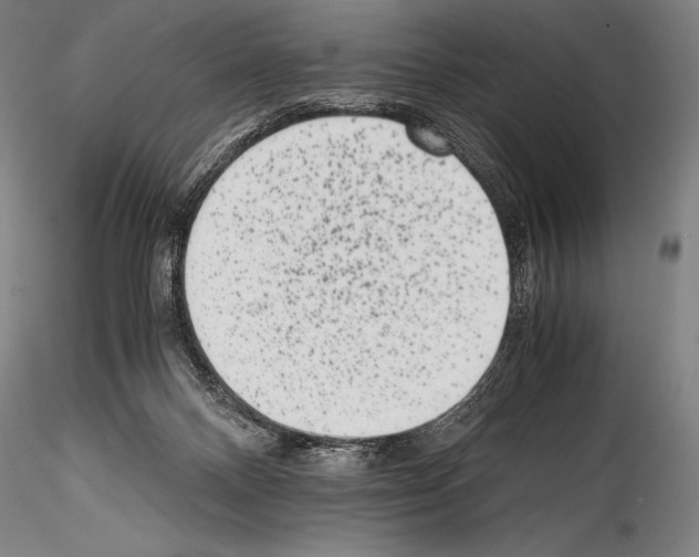 X0000114410120200911271535