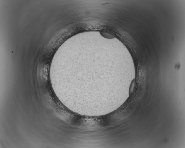 X0000114410121200911271535