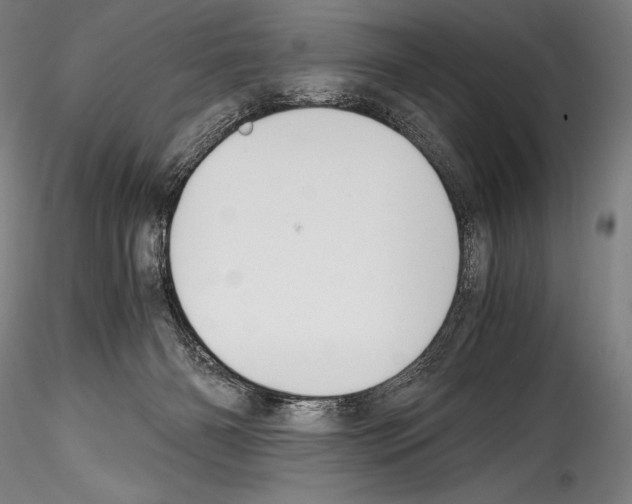 X0000114410126200911271535