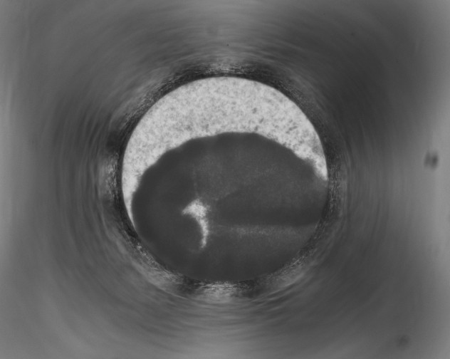 X0000114410127200911271535