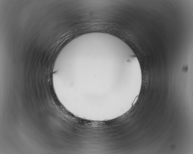 X0000114410128200911271535