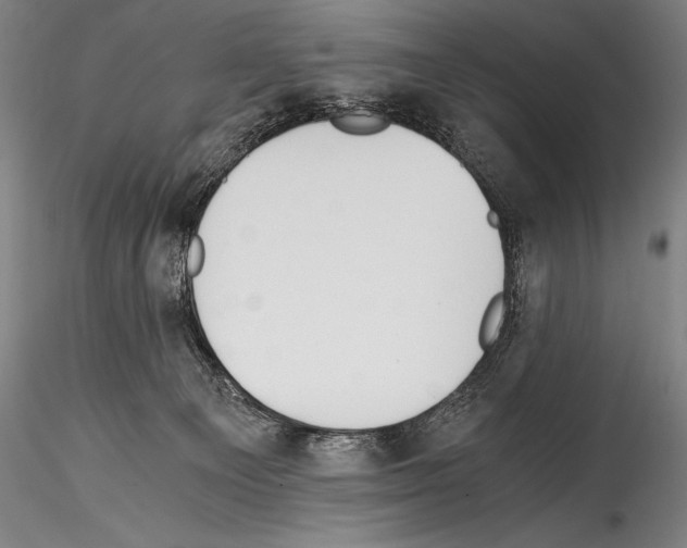 X0000114410129200911271535