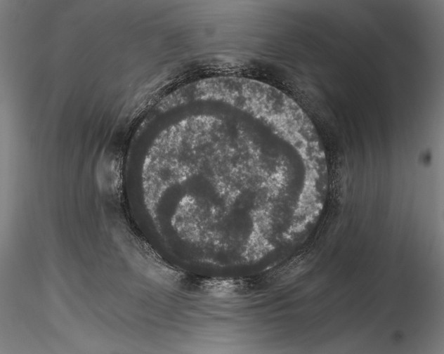 X0000114410131200911271535