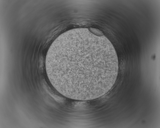 X0000114410132200911271535