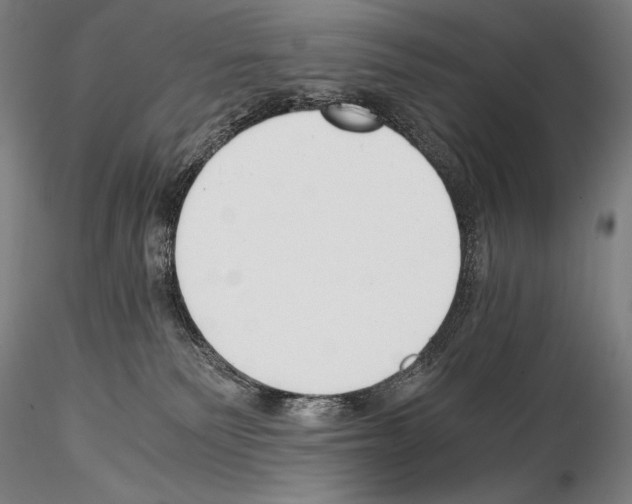 X0000114410135200911271535