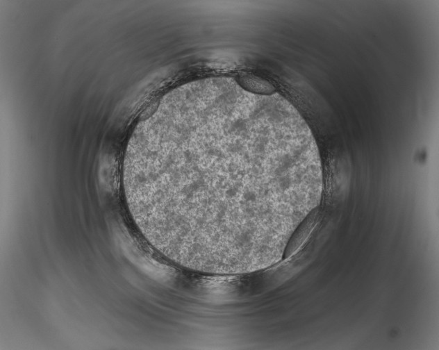 X0000114410136200911271535