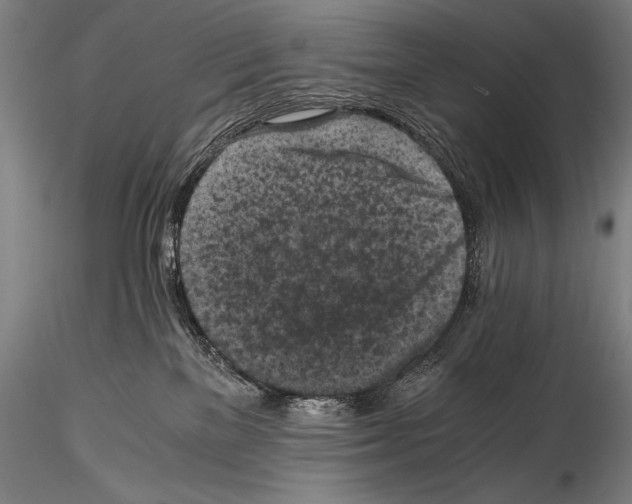 X0000114410137200911271535