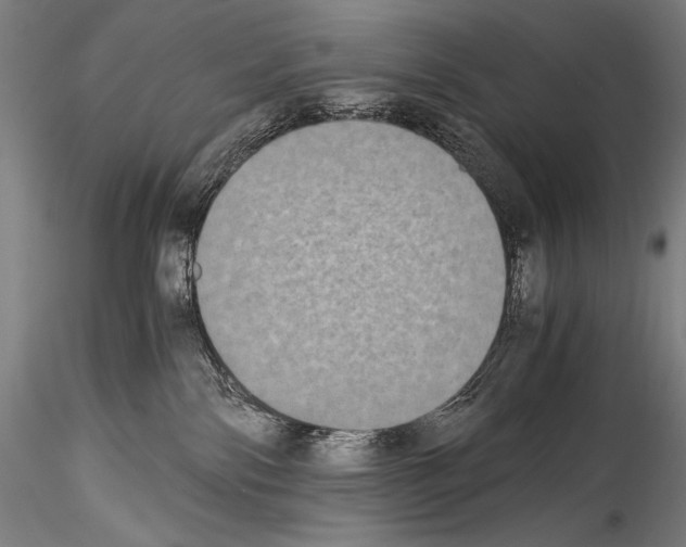 X0000114410138200911271535