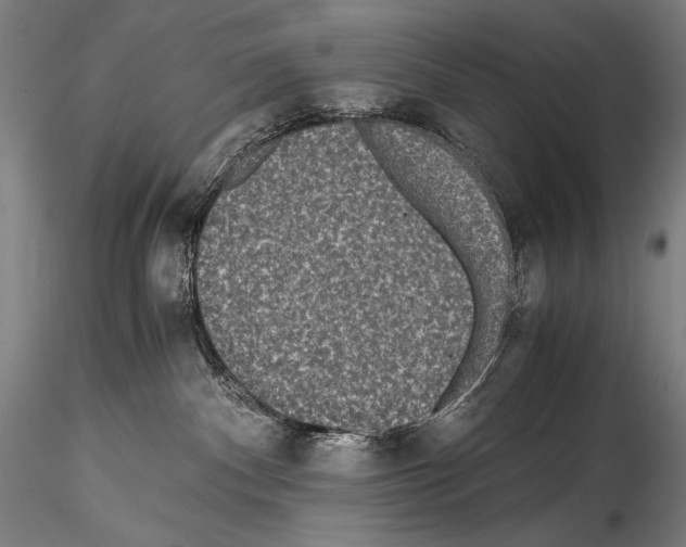 X0000114410140200911271535