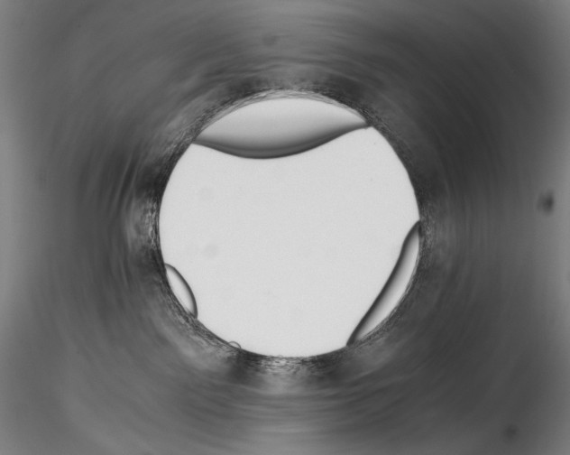 X0000114410141200911271535