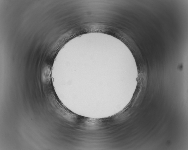 X0000114410142200911271535