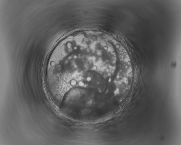 X0000114410145200911271534